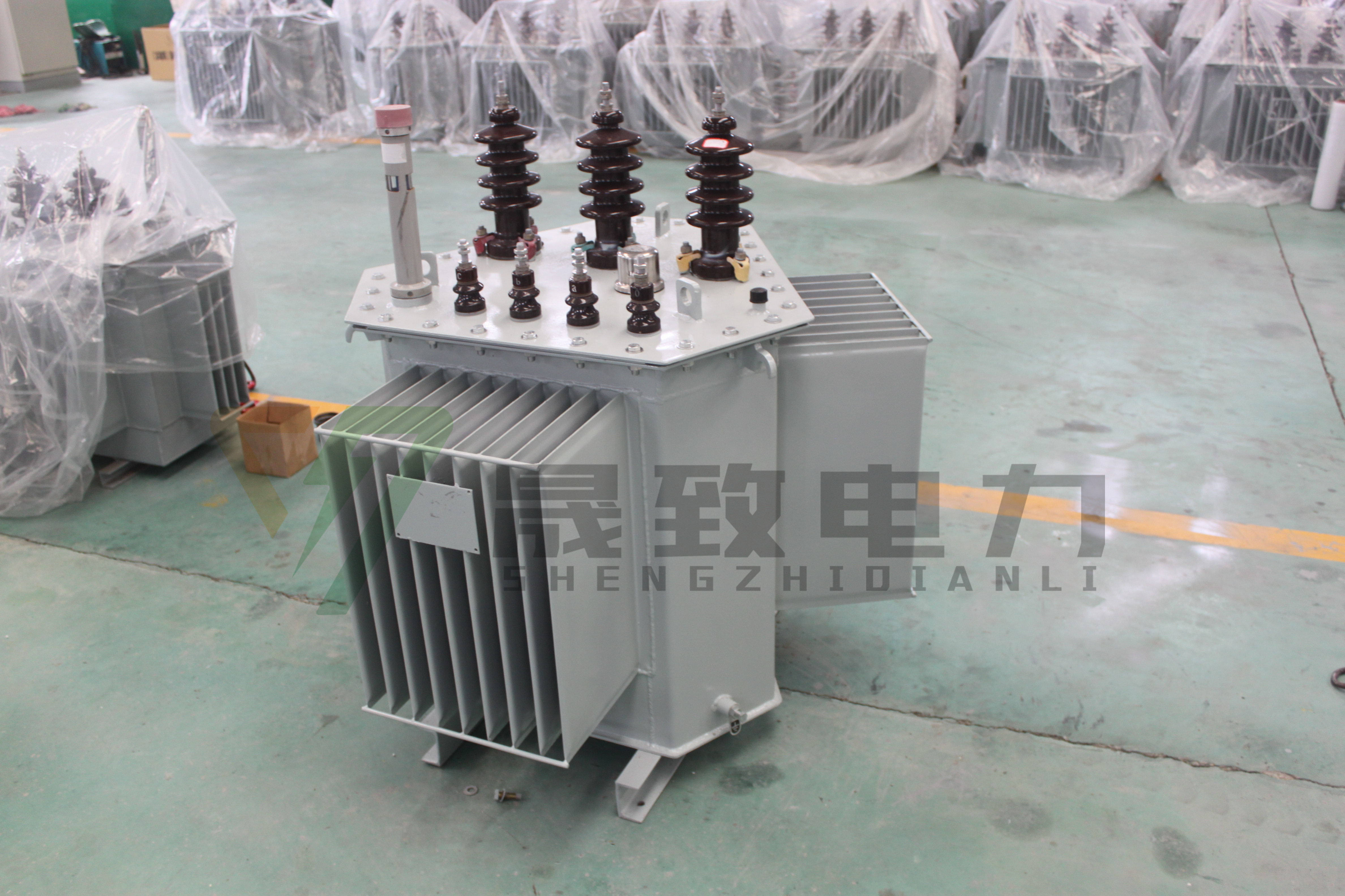 S13-RL立體卷鐵芯變壓器